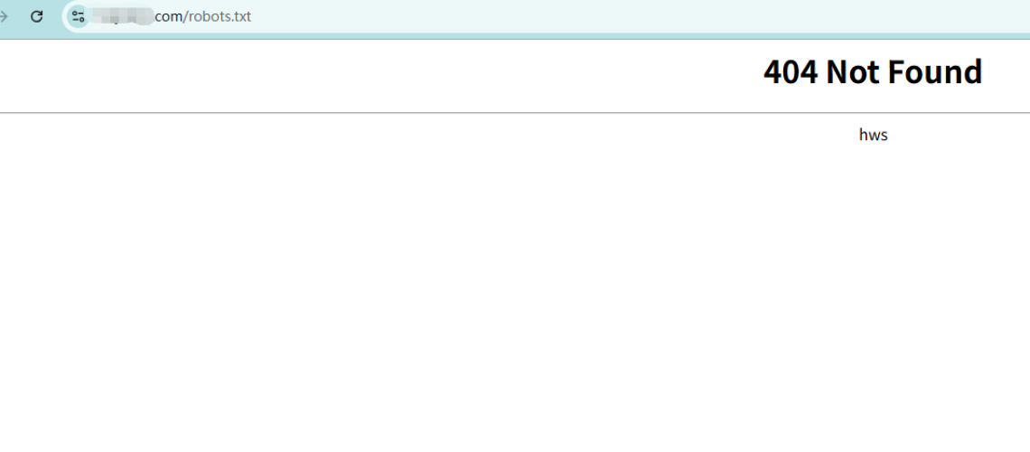 robots.txt 404